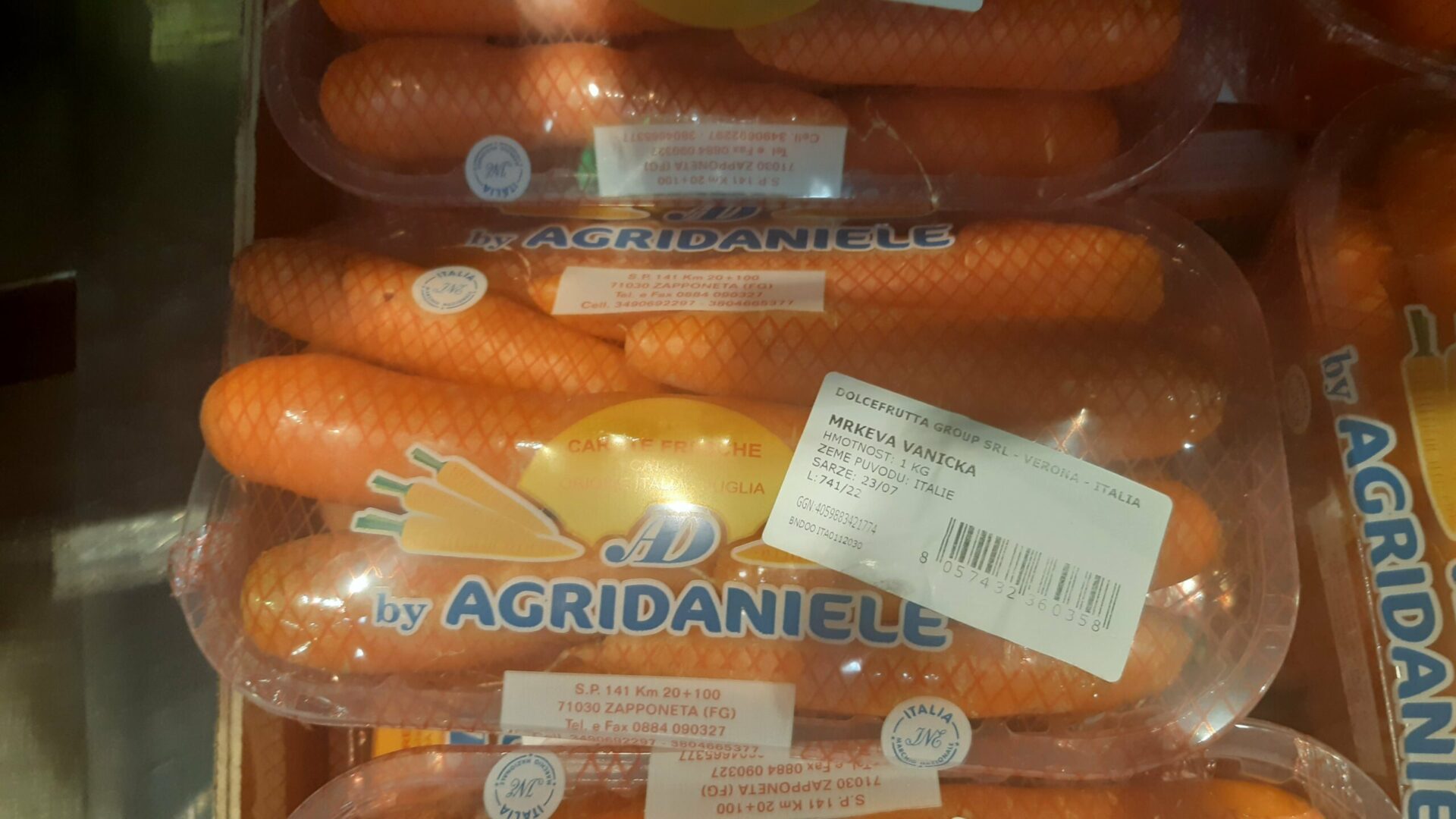 Albert-mrkev2-scaled-1