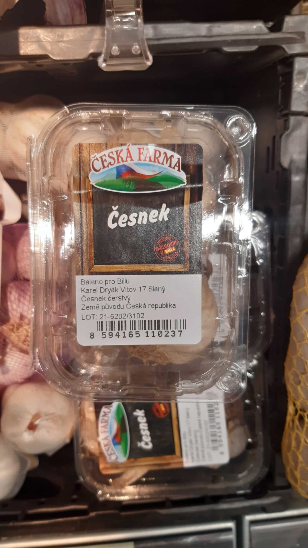 Cesnek-cesky_1-scaled